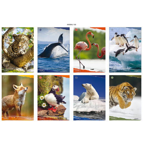 blasetti-maxi-quaderno-animali-a4-181-ff-carta-100-g-mq-conf-10-pz-rigatura-4-mm-margine-8206