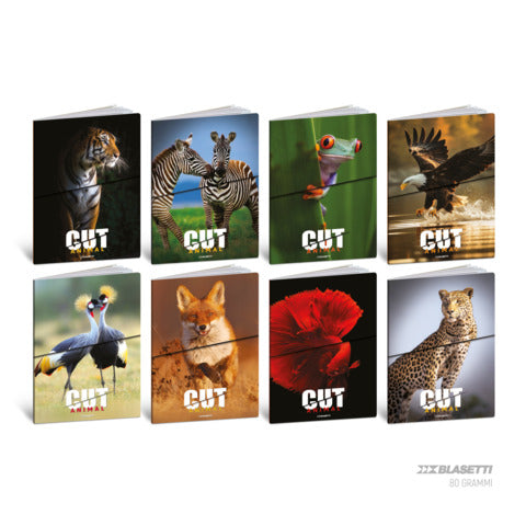 blasetti-maxi-quaderno-animali-a4-80-g-mq-201-ff-conf-10-pezzi-8944