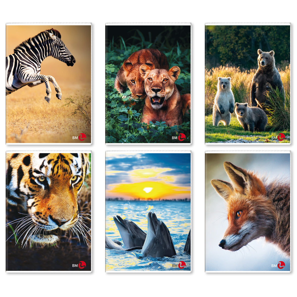 bm-maxiquaderno-a4-40fg2-80gr-1rigo-c-margine-animal