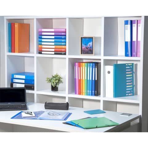 exacompta-portalistini-linea-opaco-8-colori-assortiti-ppl-a4-30-buste-8530e