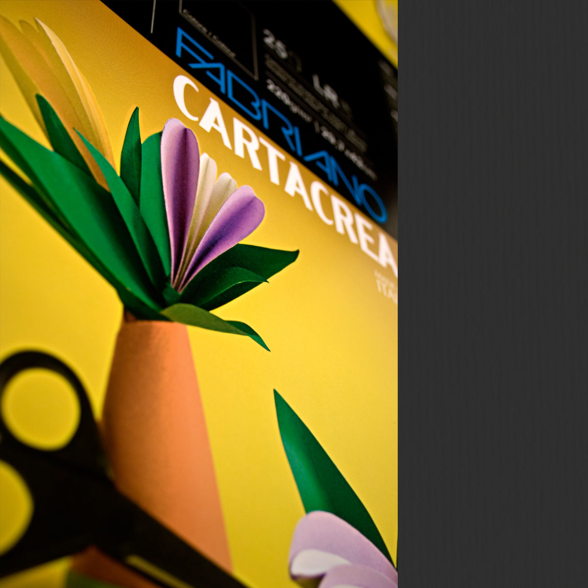 fabriano-blister-10fg-cartoncino-35x50cm-220gr-nero-cartacrea