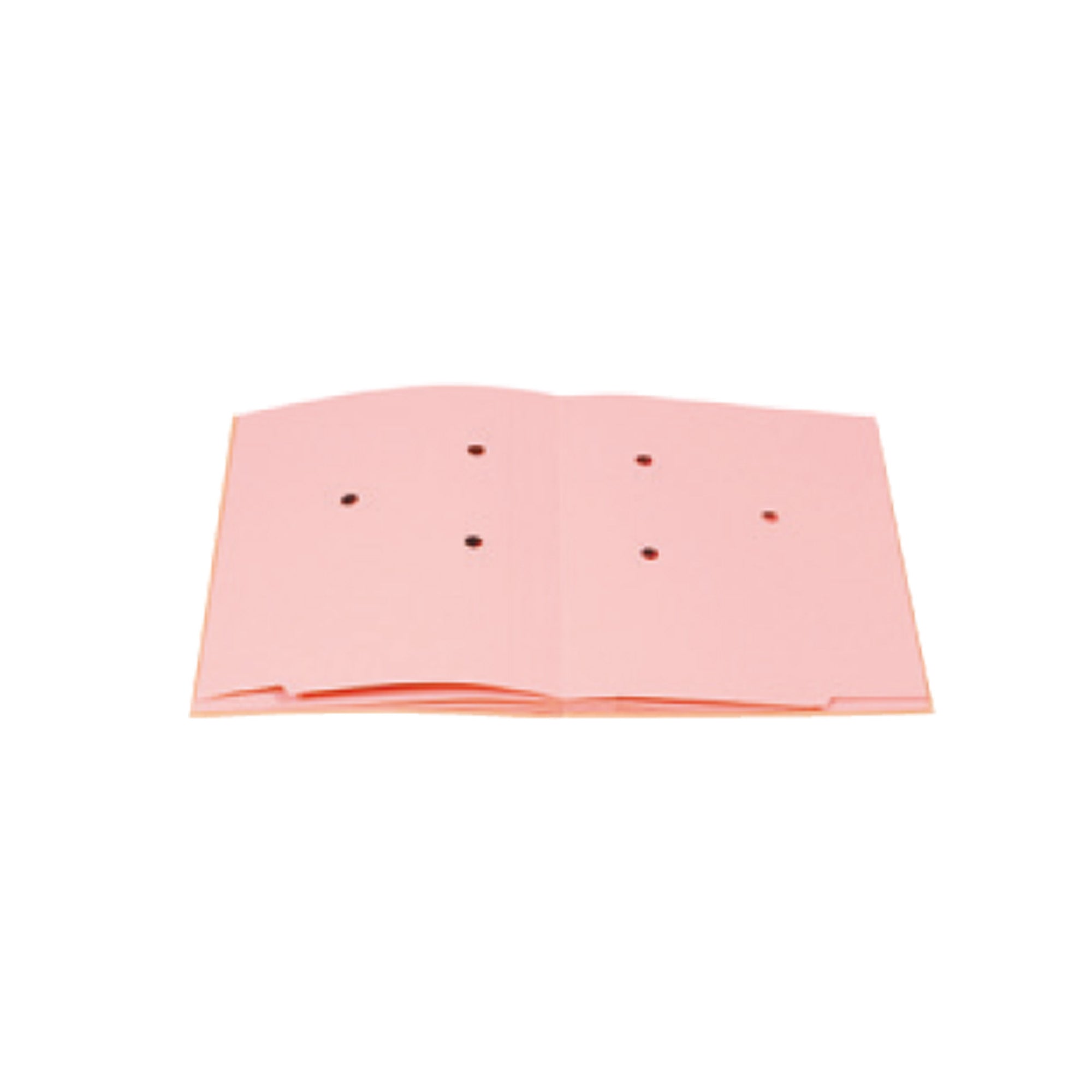 fraschini-libro-firma-18-pagine-24x34cm-618-eco
