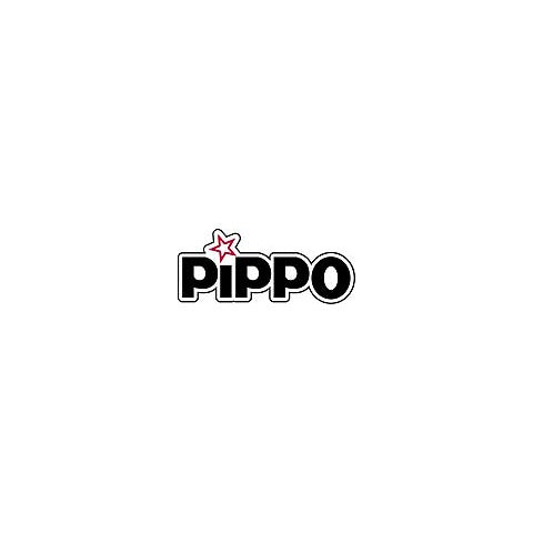 pippo-scopa-esterni-fibre-sintetiche-31x18-cm-es536