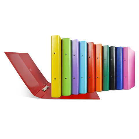 sei-rota-raccoglitore-rota-nettuno-2-anelli-r-30-mm-a4-dorso-3-5-cm-conf-10-pz-colori-assortiti-36773199