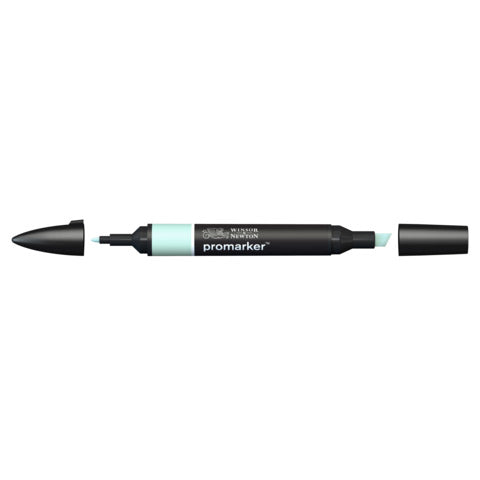 winsor-newton-pennarelli-winsornewton-promarker-doppia-punta-fine-larga-verde-pastello-g829-0203274