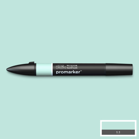 winsor-newton-pennarelli-winsornewton-promarker-doppia-punta-fine-larga-verde-pastello-g829-0203274