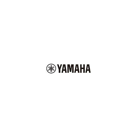 yamaha-flauto-dolce-soprano-yrs-23