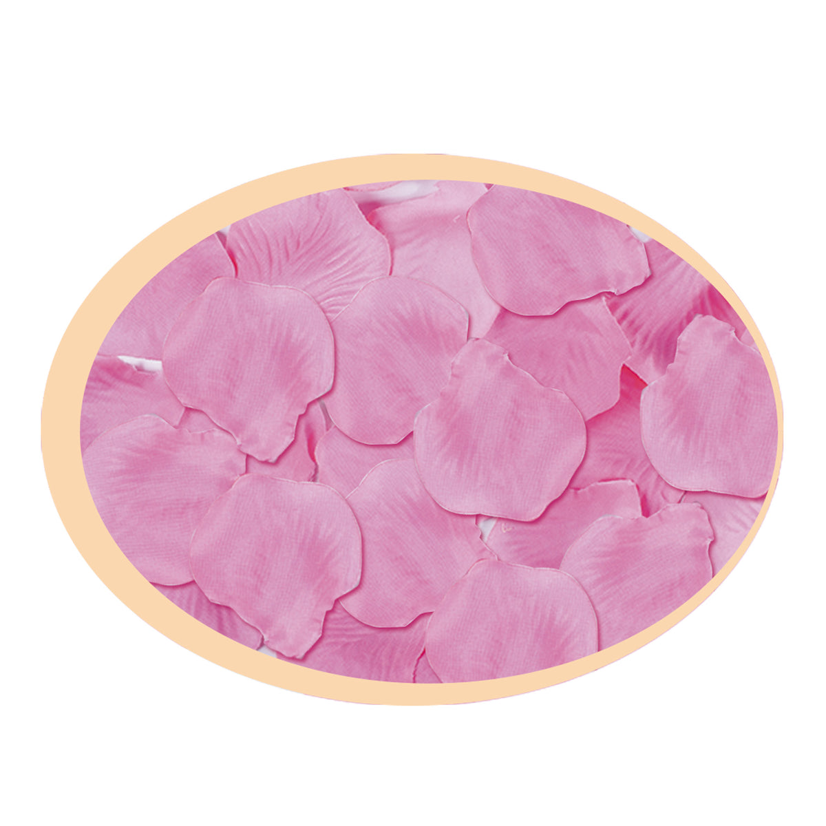 big-party-busta-144-petali-rosa