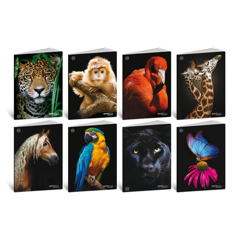 blasetti-maxi-quaderno-animali-a4-100-g-mq-181-ff-conf-10-pezzi-9003