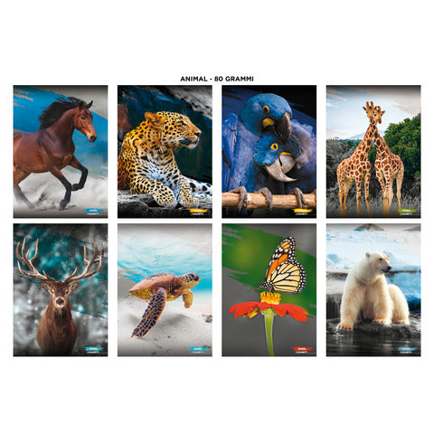 blasetti-maxi-quaderno-animali-a4-80-g-mq-201-ff-q-conf-10-pezzi-8952