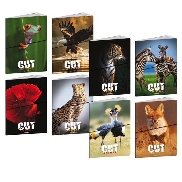 blasetti-maxiquaderno-a4-20fg1-80gr-1-rigo-animal-cut