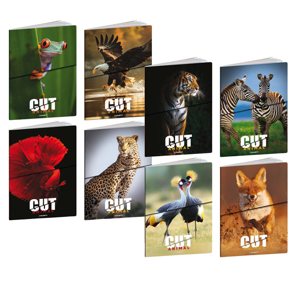 blasetti-maxiquaderno-a4-20fg1-80gr-10mm-animal-cut