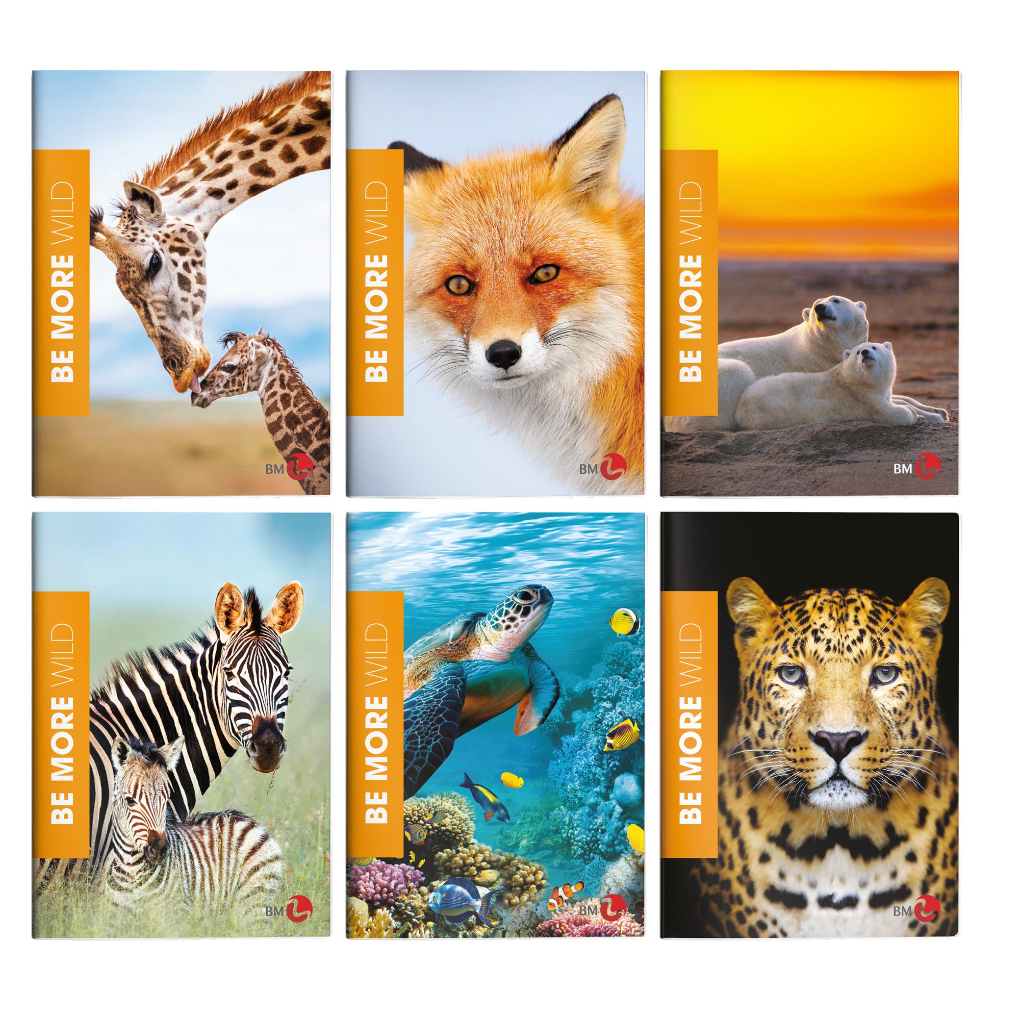bm-maxiquaderno-a4-36fg2-100gr-rigo-1a-wild-be-more