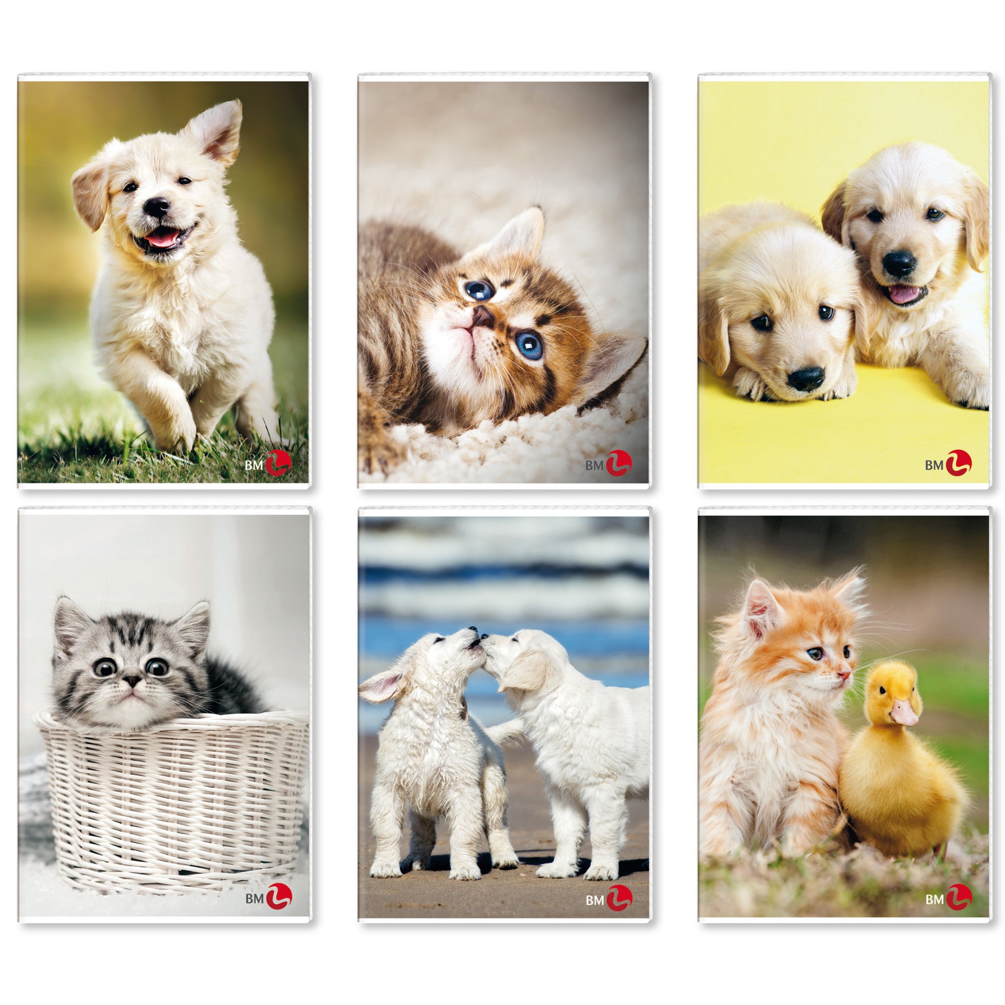 bm-maxiquaderno-a4-40fg2-80gr-1-rigo-c-margine-cute