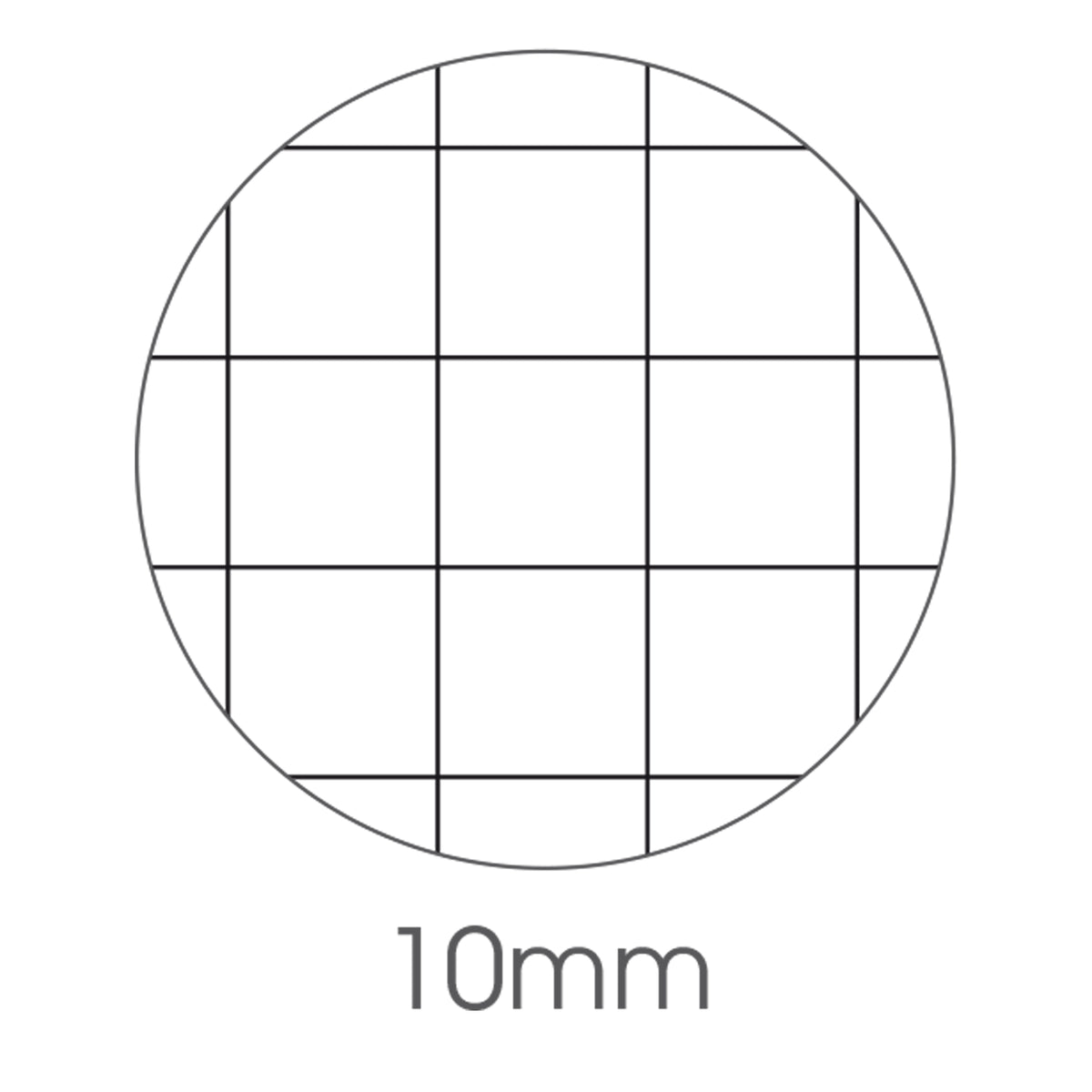 bm-maxiquaderno-a4-40fg2-80gr-10mm-animal-2024