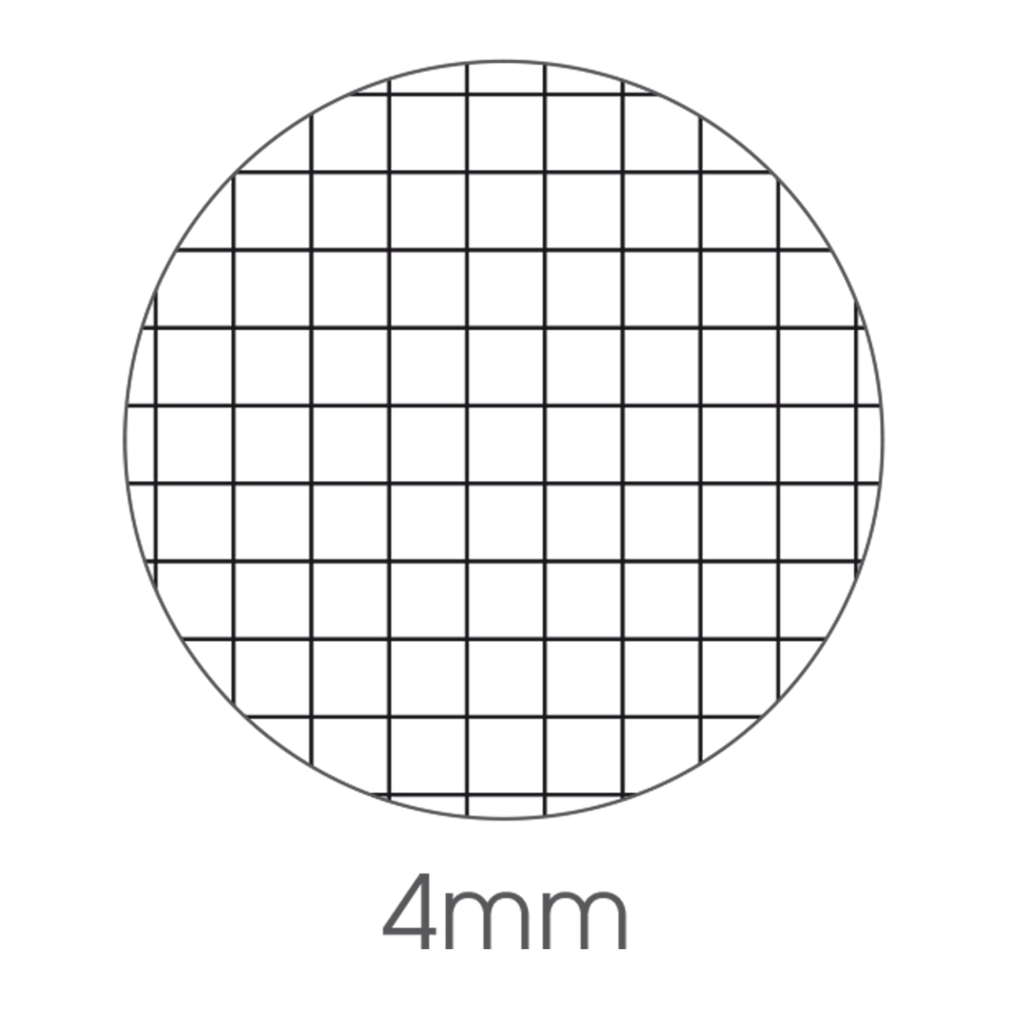 bm-maxiquaderno-a4-40fg2-80gr-4mm-cute