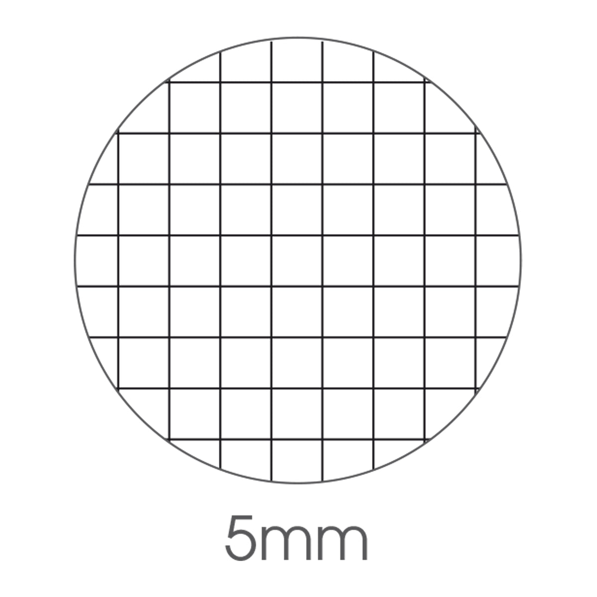 bm-maxiquaderno-a4-40fg2-80gr-5mm-animal