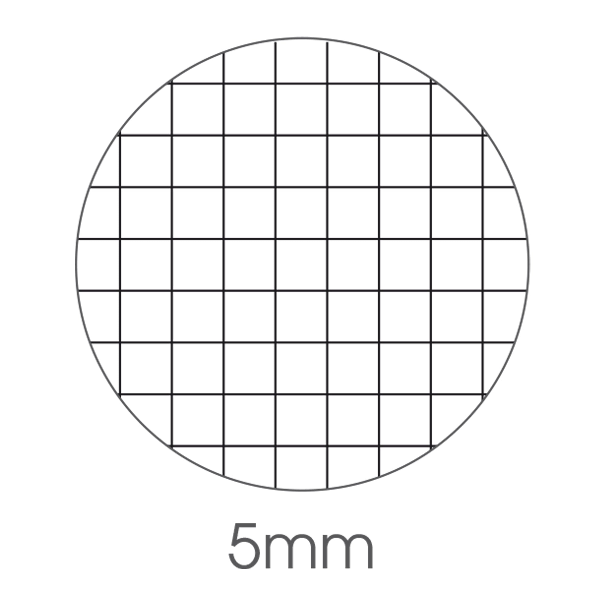 bm-maxiquaderno-a4-40fg2-80gr-5mm-bambino