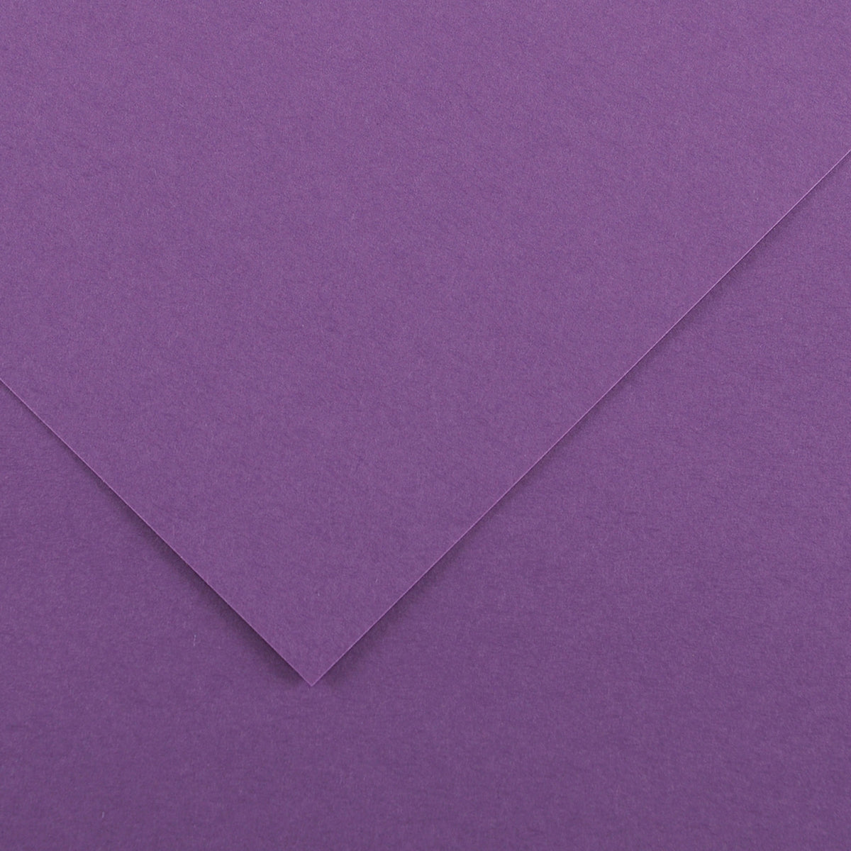 canson-foglio-colorline-70x100-cm-220-gr-18-viola