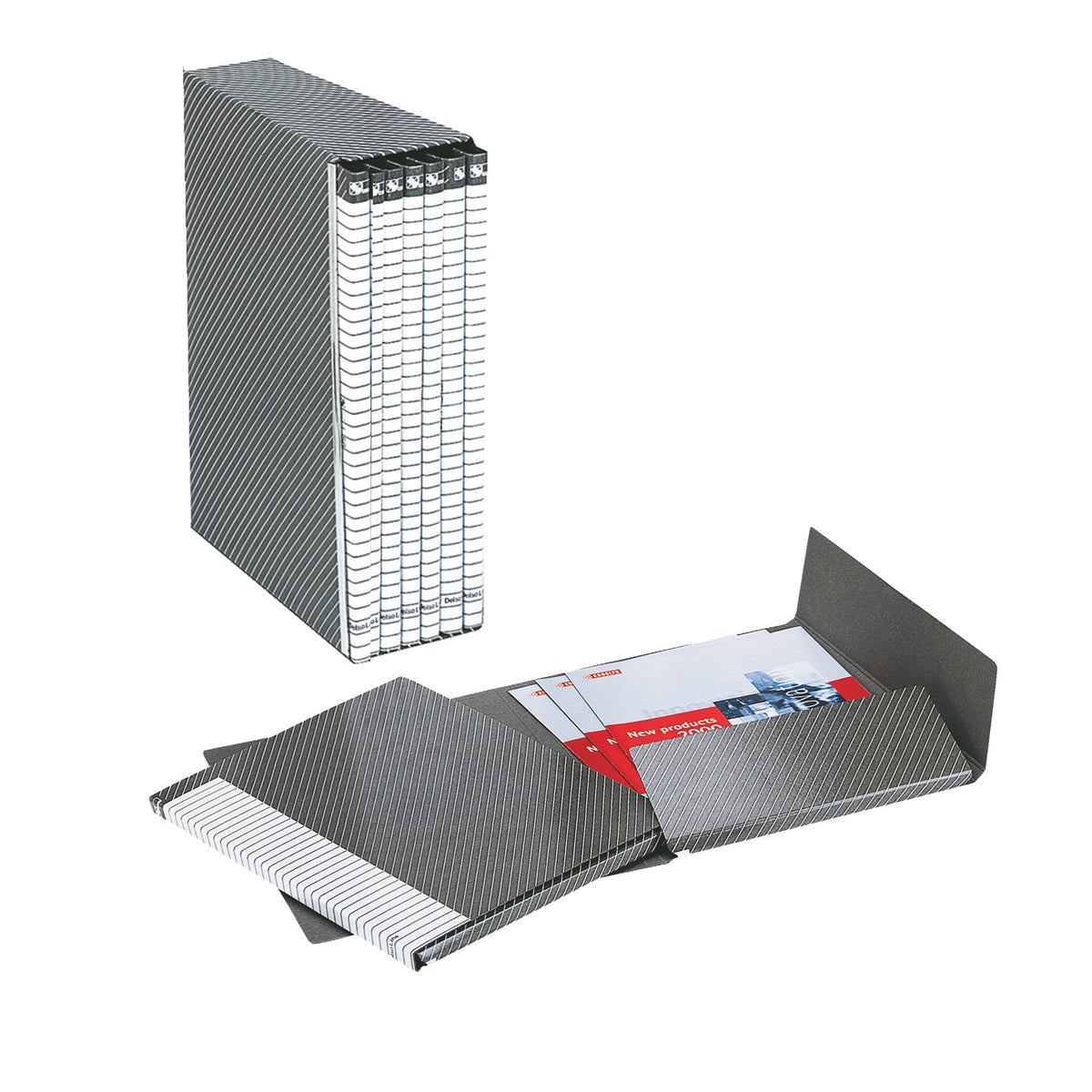 esselte-gruppo-delso-line-i54-6-cartelle-2-lembi-dorso-1-5cm