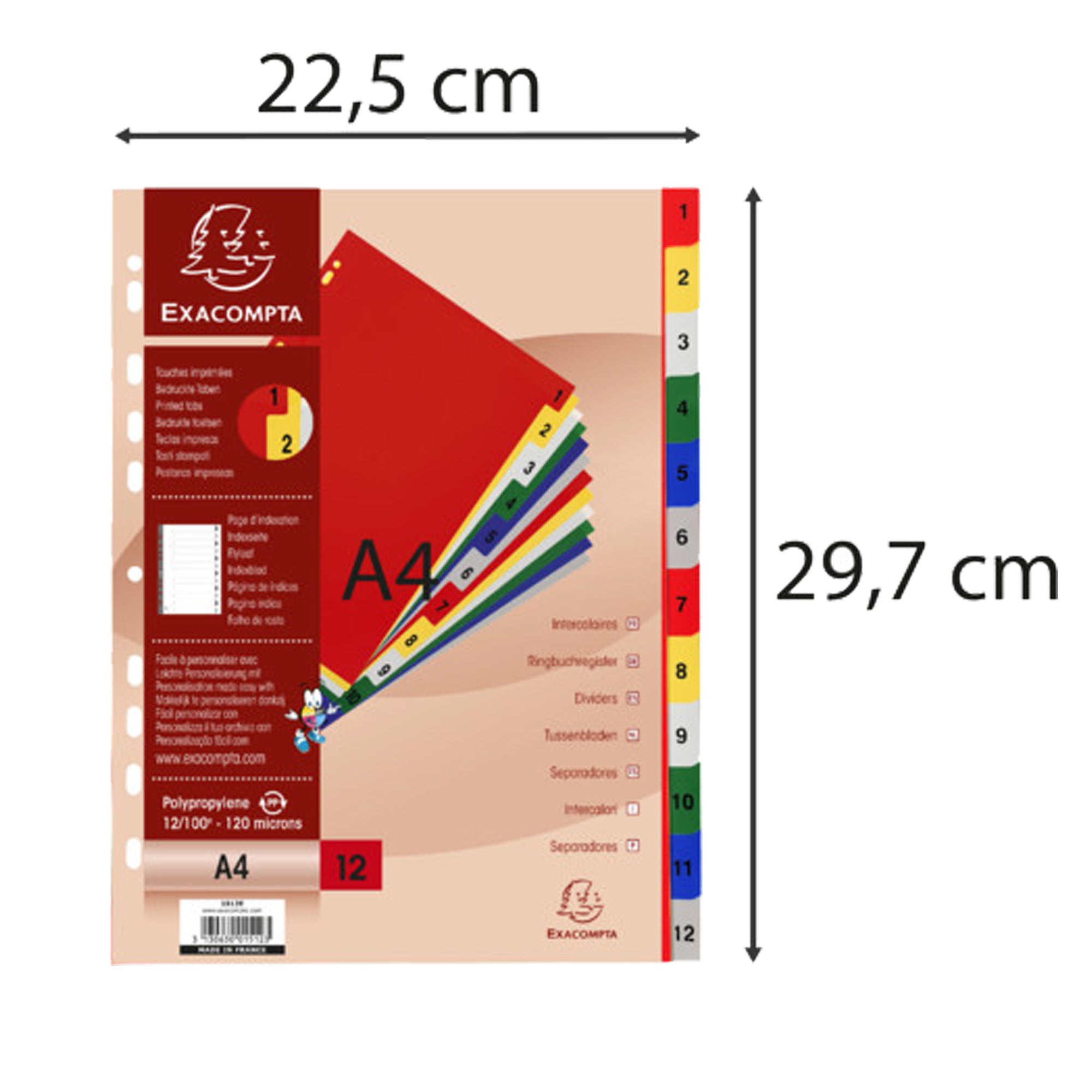 exacompta-divisori-numerici-1-12-a4-ppl-opaco-colori-assortiti-46971e