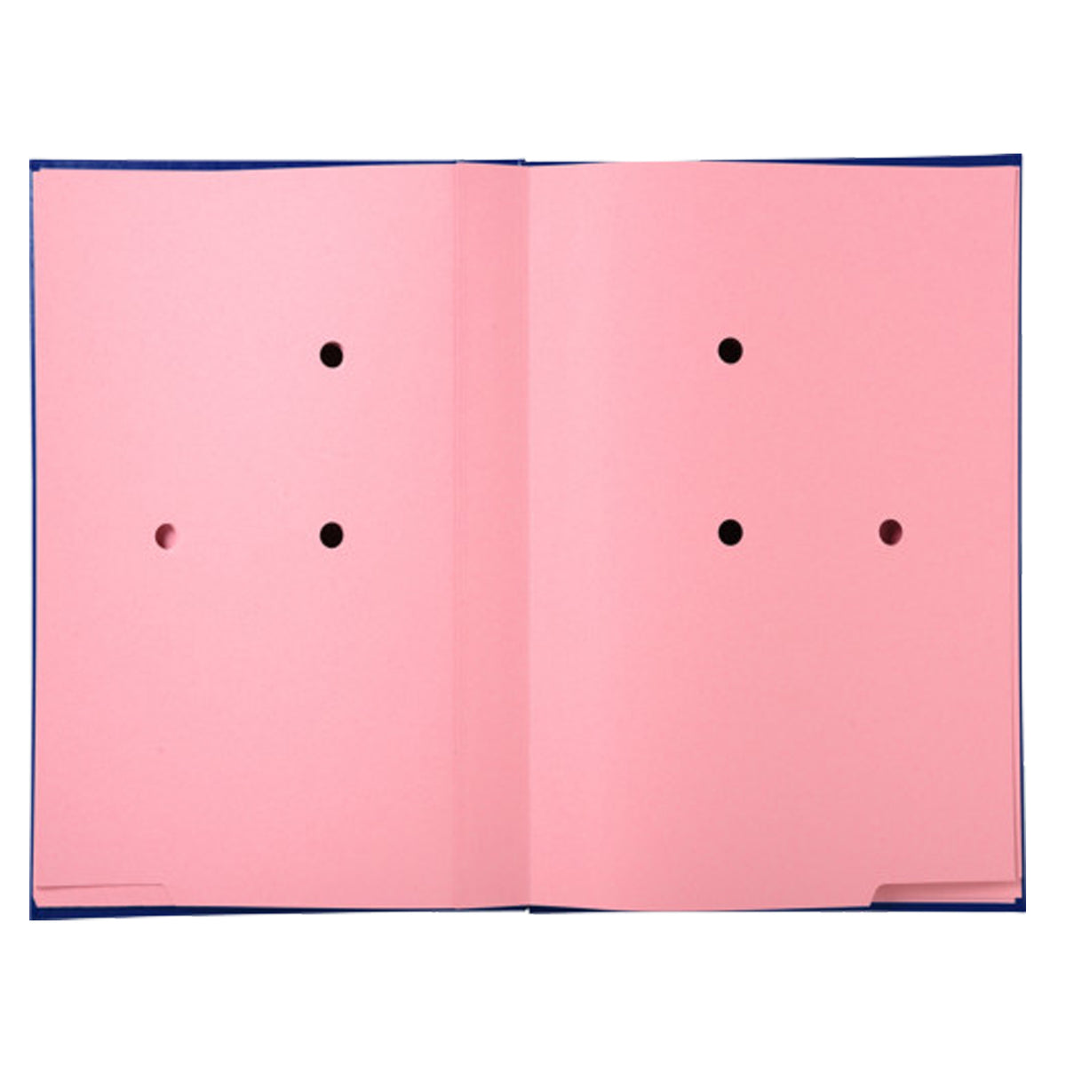 exacompta-libro-firma-20-pagine-blu-24x35cm-57022e