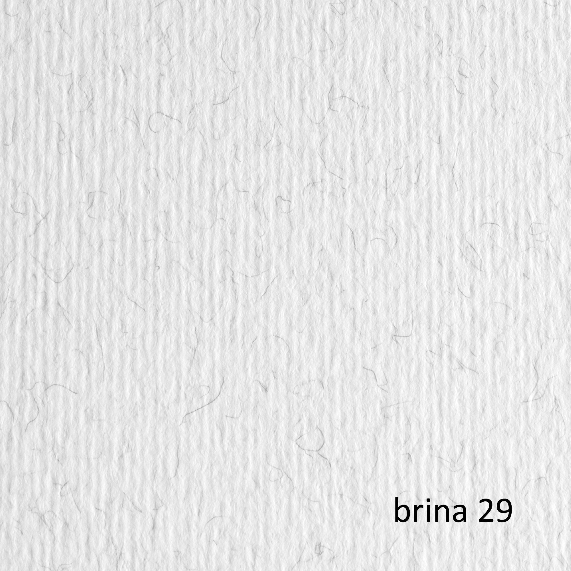 fabriano-blister-20fg-cartoncino-50x70-220gr-brina-29-elle-erre