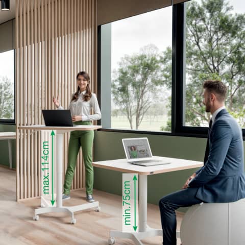 leitz-scrivania-compatta-sit-stand-pneumatica-ergo-bianco-600x650x800-mm-65360001