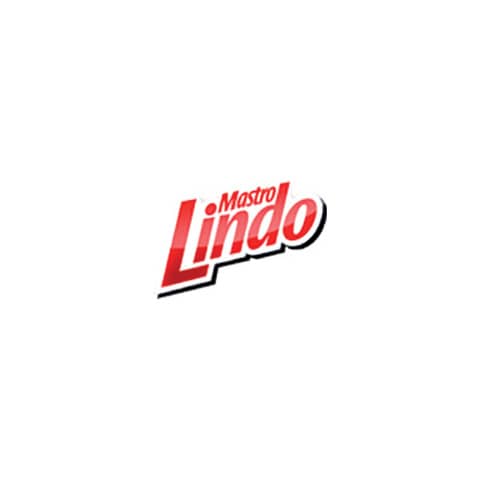 mastro-lindo-detergente-bagno-mastro-lindo-professional-5-l-bagno-pg4400