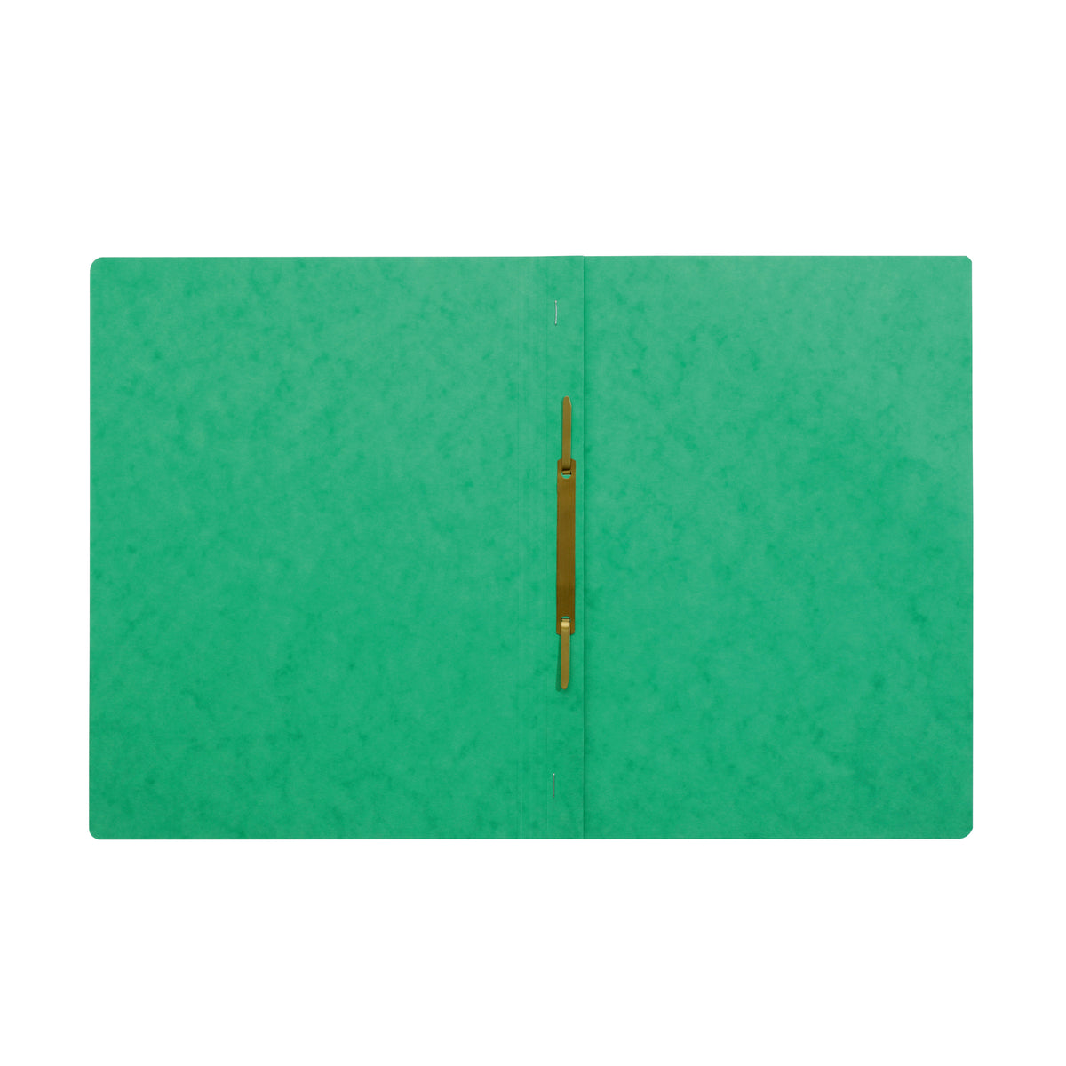 pagna-cartellina-verde-cartone-pressino-fermafogli-a4