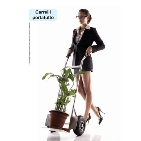 serena-group-carrello-portapacchi-alluminio-plastica-grigio-nero-48x98-cm-gzs100