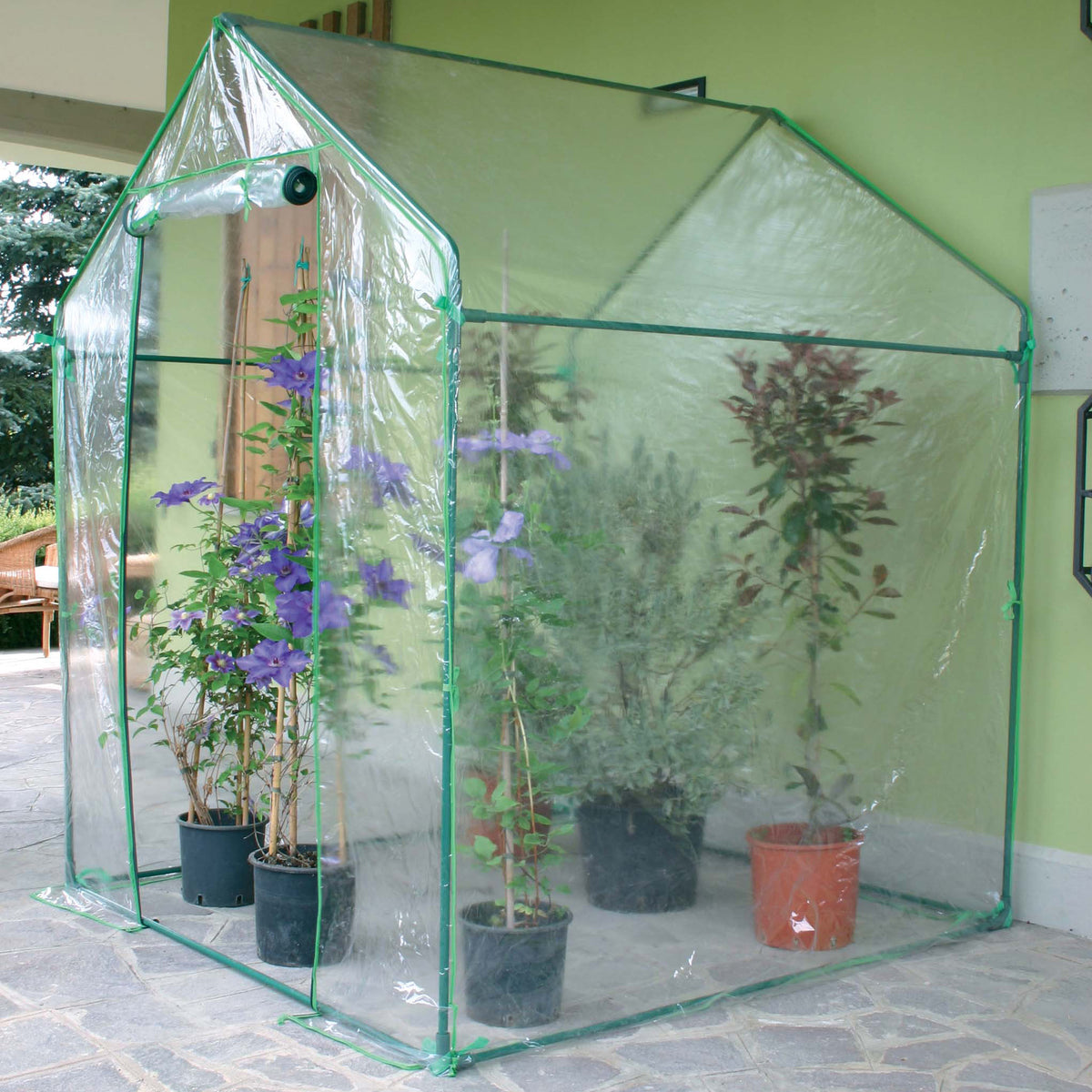 verdemax-serra-casetta-clematis-155x155xh205cm